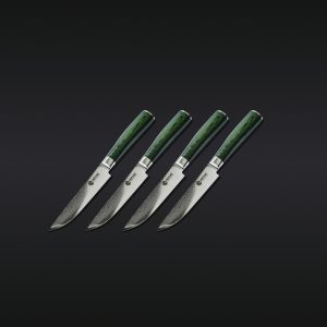 16pc Steak Knife and Bistecca Plate Set